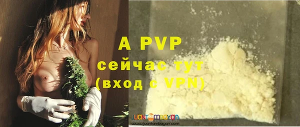 прущие грибы Лихославль