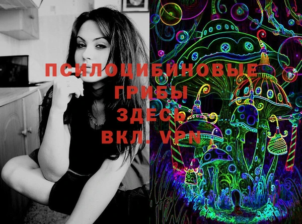 тгк Лагань