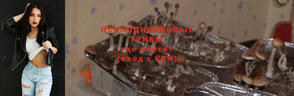 тгк Лагань
