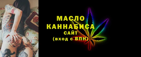 гашик Ладушкин