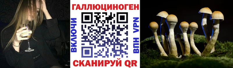 где продают   маркетплейс телеграм  Галлюциногенные грибы Psilocybine cubensis  Кондопога 