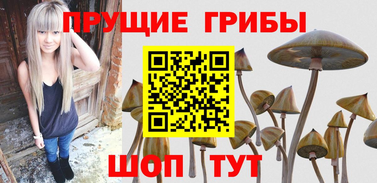 Галлюциногенные грибы ЛСД Кондопога