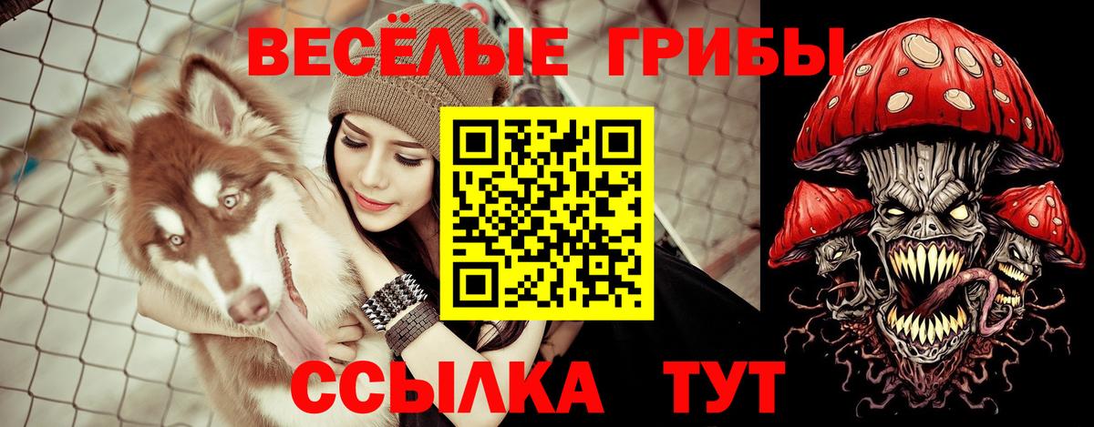 Кондопога  Галлюциногенные грибы Cubensis  Вход с VPN 