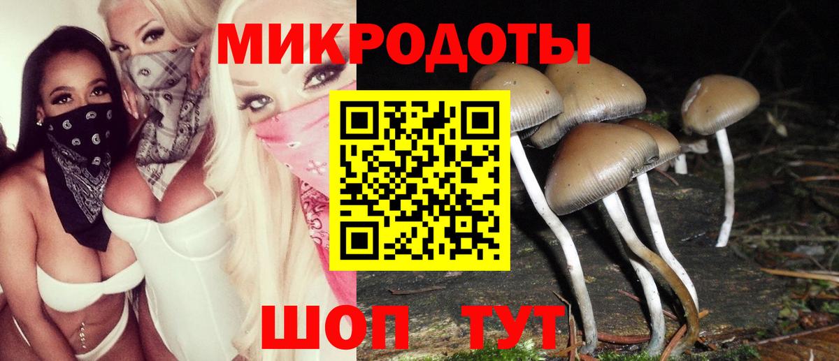 Галлюциногенные грибы ЛСД  Псилоцибиновые грибы Magic Shrooms  Кондопога 